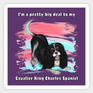 I'm a pretty big deal to my Cavalier King Charles Spaniel, Tri Magnet